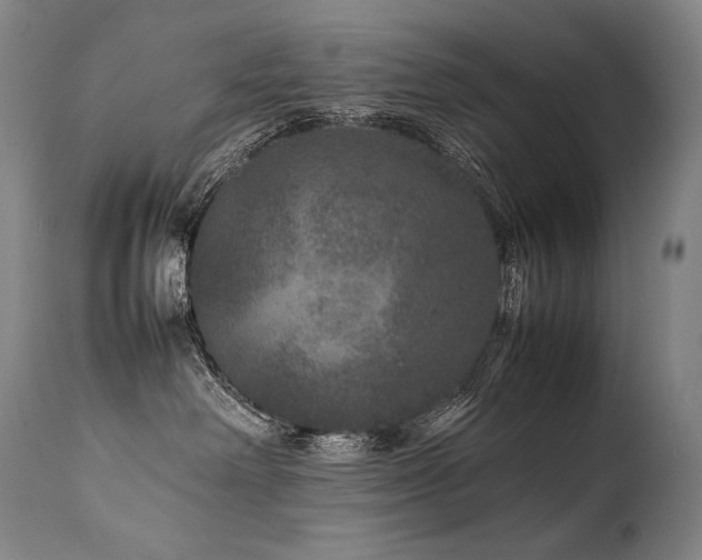 X0000111810238200907231242