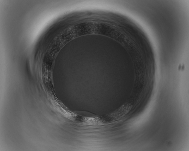X0000111810239200907231242