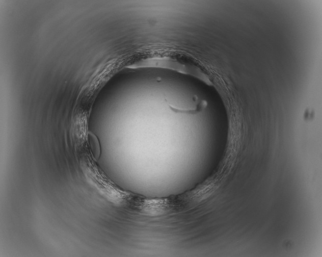 X0000111810240200907231242