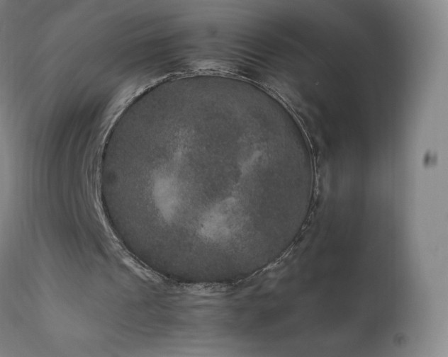 X0000111810241200907231241