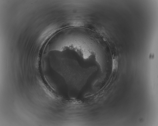 X0000111810243200907231241