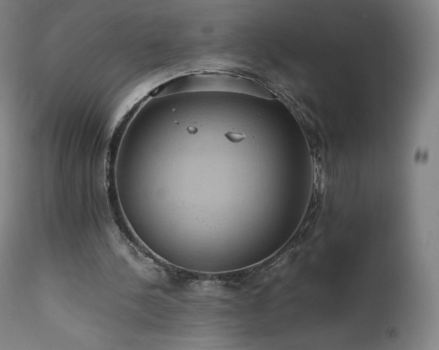 X0000111810244200907231241
