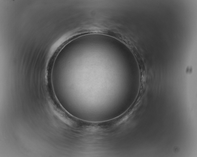 X0000111810246200907231241