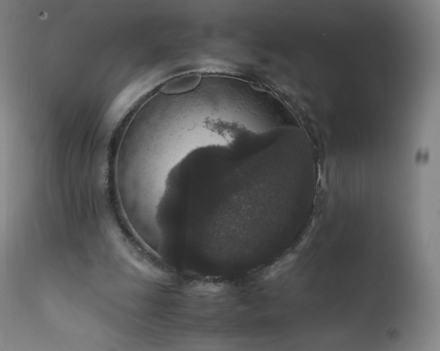 X0000111810247200907231241