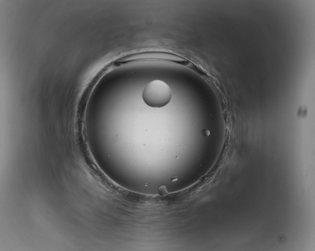 X0000111810248200907231241