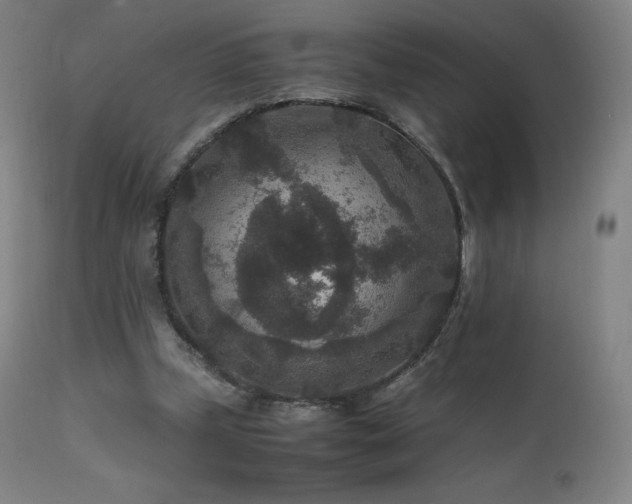 X0000111810249200907231241