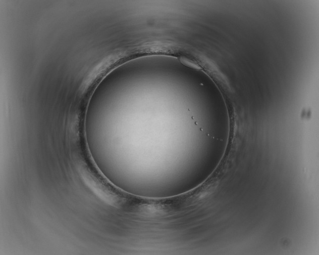 X0000111810250200907231241