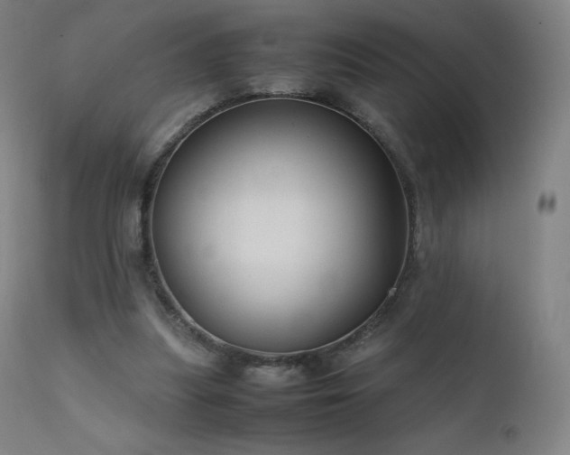 X0000111810251200907231241