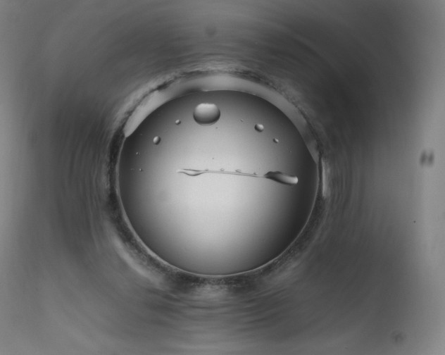 X0000111810252200907231241
