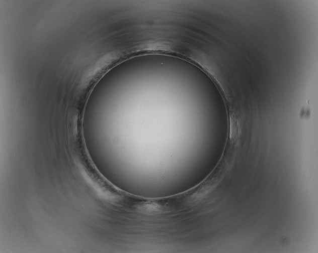 X0000111810253200907231241