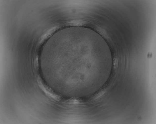 X0000111810254200907231241