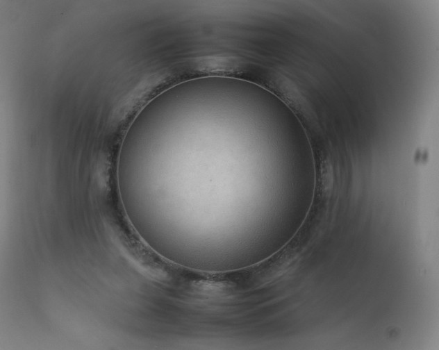X0000111810255200907231241