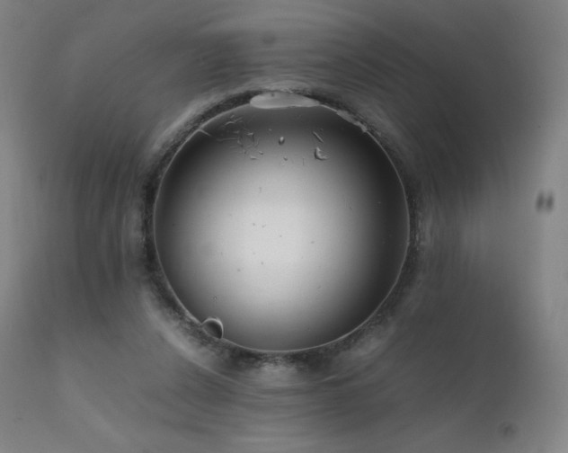 X0000111810256200907231241