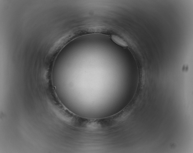 X0000111810258200907231241
