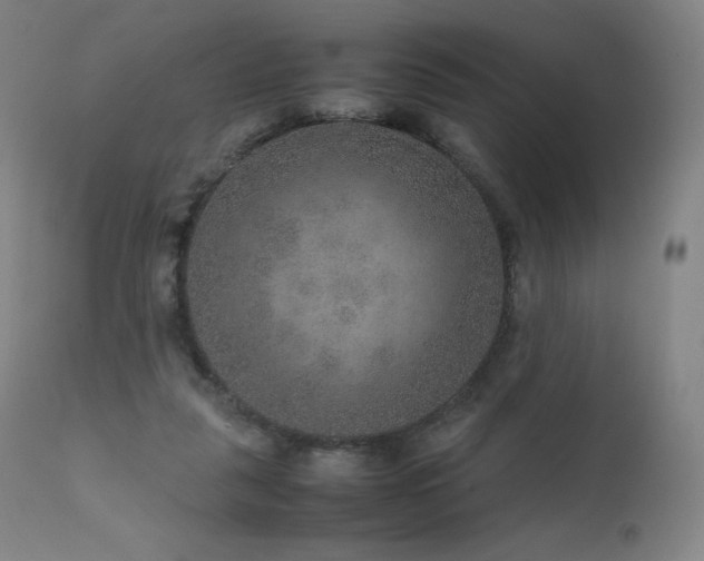 X0000111810259200907231241