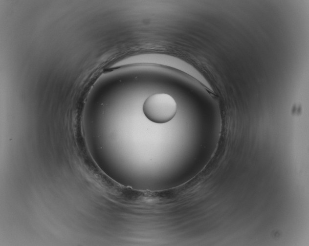 X0000111810260200907231241