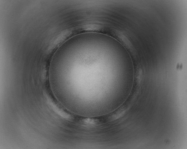 X0000111810261200907231241