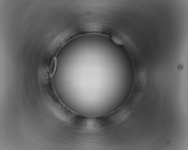 X0000111810264200907231241