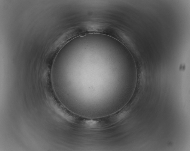 X0000111810265200907231241