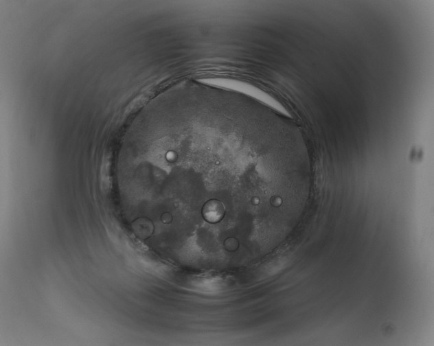 X0000111810267200907231241