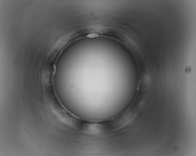 X0000111810268200907231241