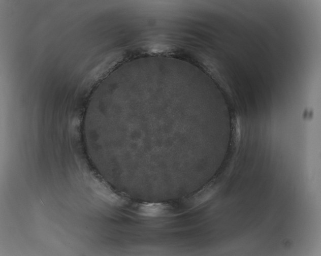 X0000111810269200907231241
