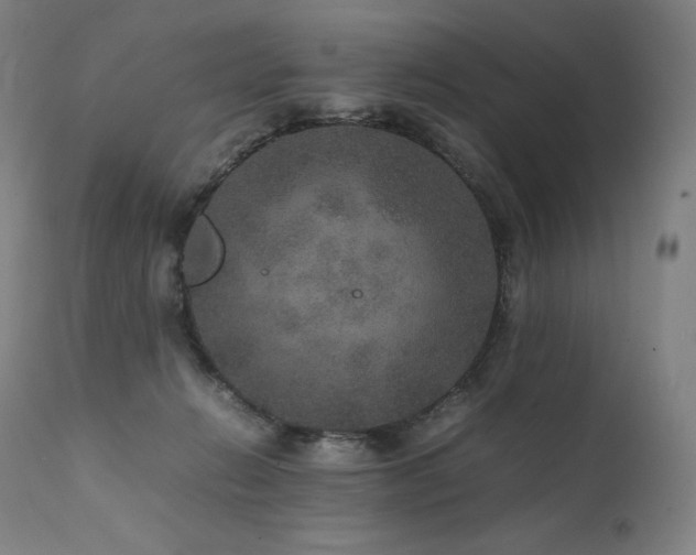 X0000111810270200907231241