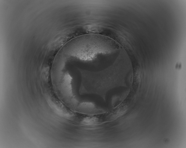 X0000111810271200907231241