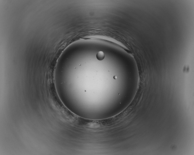X0000111810272200907231242
