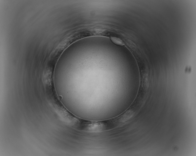 X0000111810274200907231242