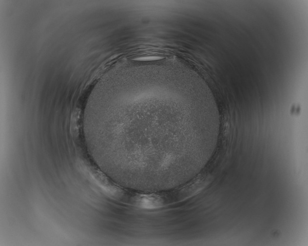 X0000111810275200907231242