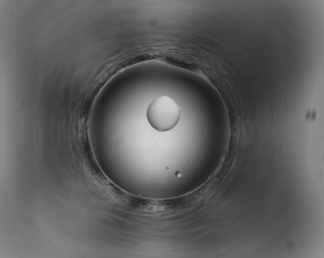 X0000111810276200907231242