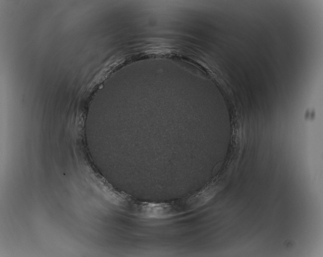 X0000111810277200907231242