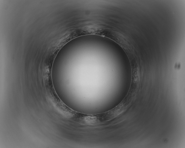 X0000111810279200907231242