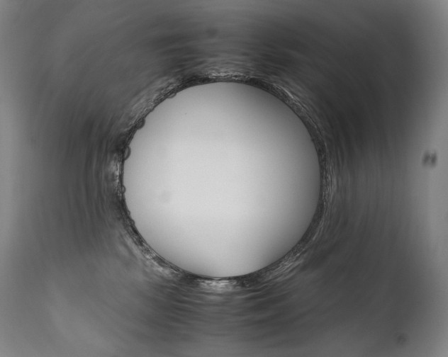 X0000111810281200907231242