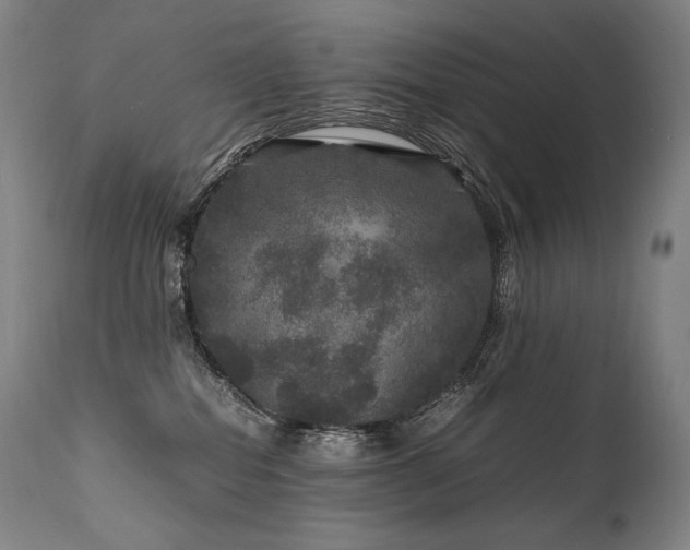 X0000111810282200907231242