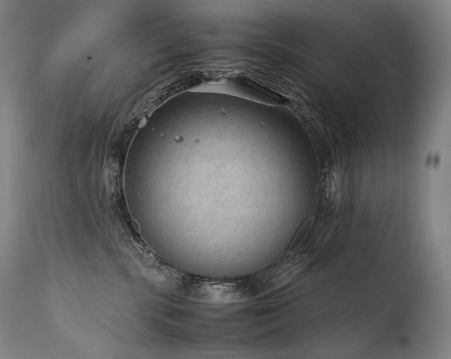 X0000111810283200907231242