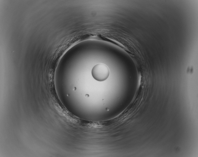 X0000111810284200907231242