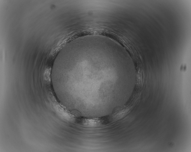X0000111810286200907231242