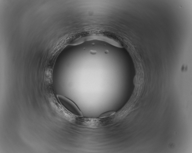 X0000111810288200907231242