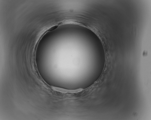 X0000111810289200907231241