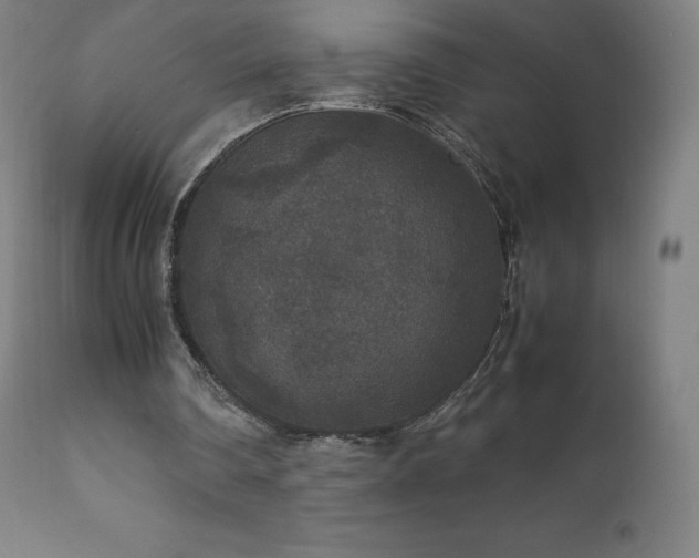 X0000111810290200907231241