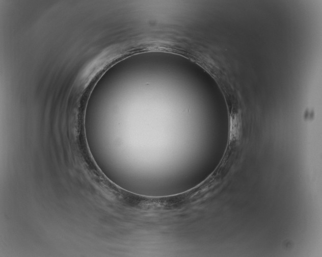 X0000111810291200907231241