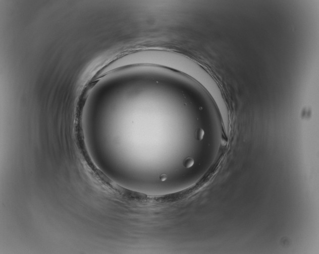 X0000111810293200907231241