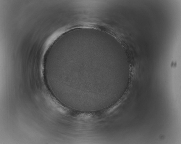 X0000111810294200907231241