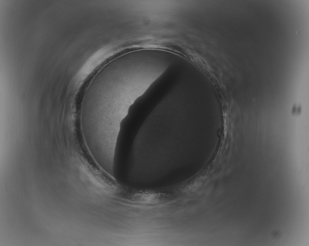 X0000111810295200907231241