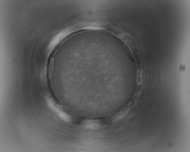 X0000111810296200907231241