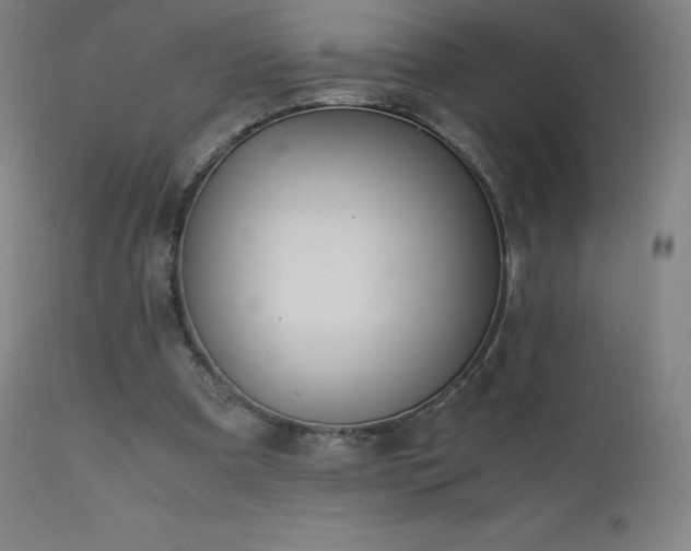 X0000111810297200907231241
