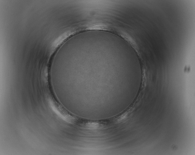 X0000111810298200907231241