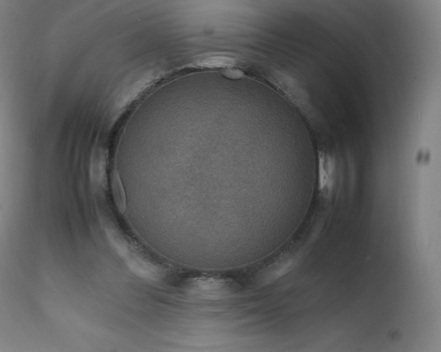X0000111810300200907231241